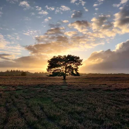 木屋 Cozy Tiny House 'circumbendihouse' At The Veluwe And Close To Veluwemeer