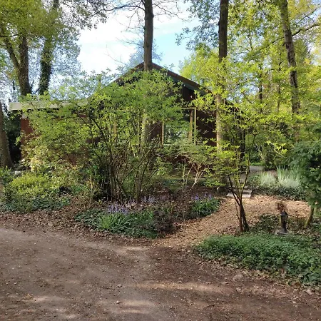 木屋 Cozy Tiny House 'circumbendihouse' At The Veluwe And Close To Veluwemeer 埃尔默洛